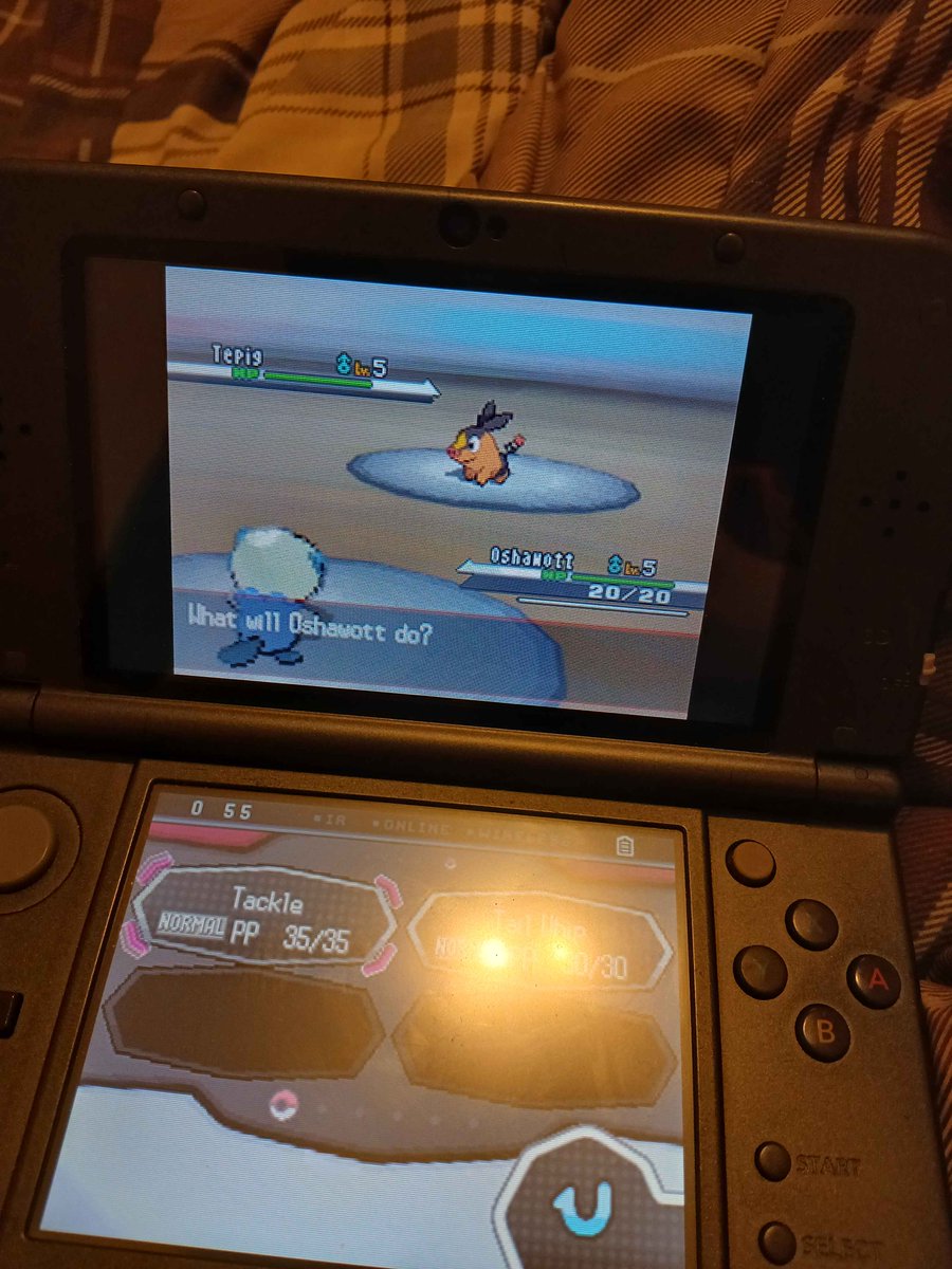 TrickyFGC's tweet image. Decided that this year I wanted to play through gen 5 for the first time, but I wanted it to be even more special so its a shiny only run, suprisingly Oshawott only took around 2-300 SRs. I assume many of the later hunts will test me more. Hoping I can finish this by 2027!