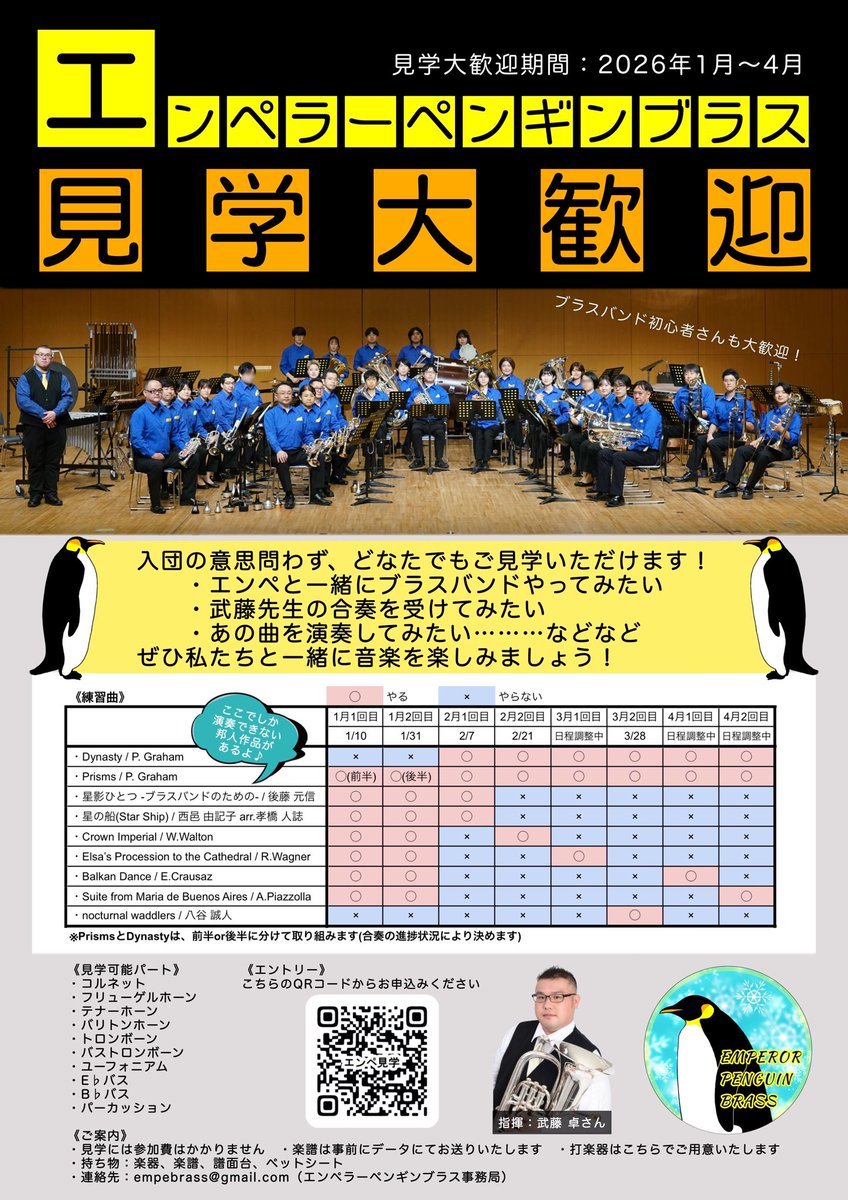 Emperor Penguin Brass tweet media