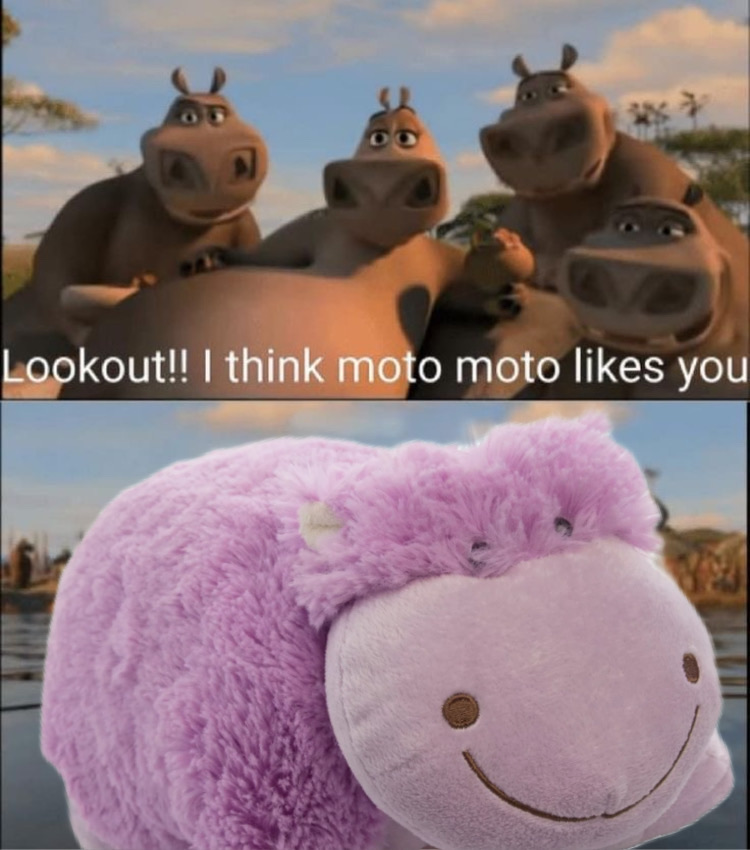 Pillow Pets tweet media