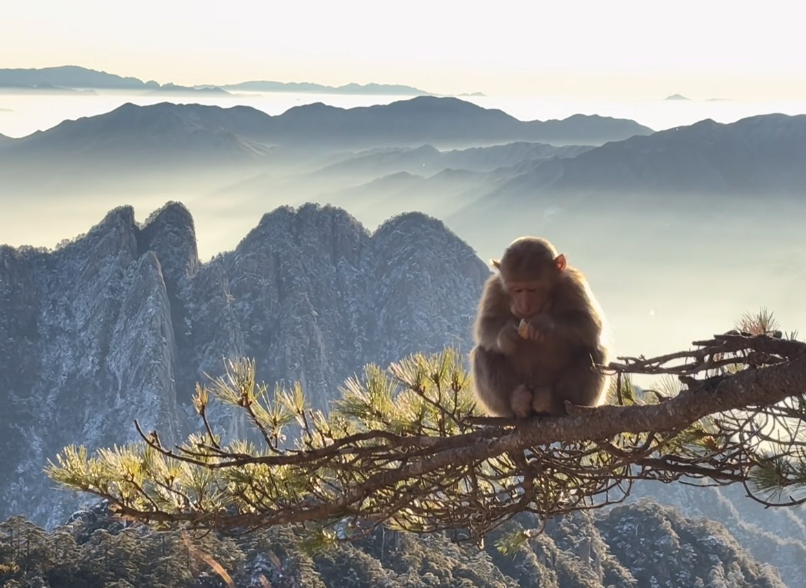 Qianqianya（互fo） tweet media