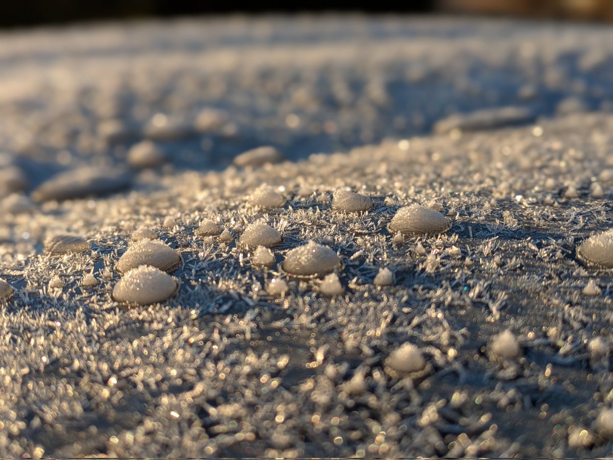 atomu_reo's tweet image. おはようございます😊　今朝の霜は…ってか、これ霜？