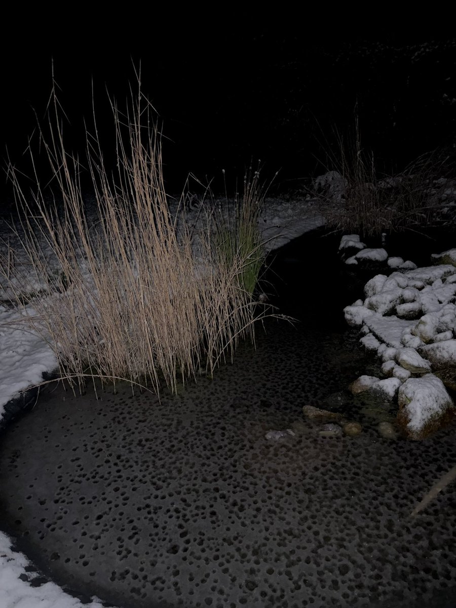 ℮rwaN🌱 tweet media