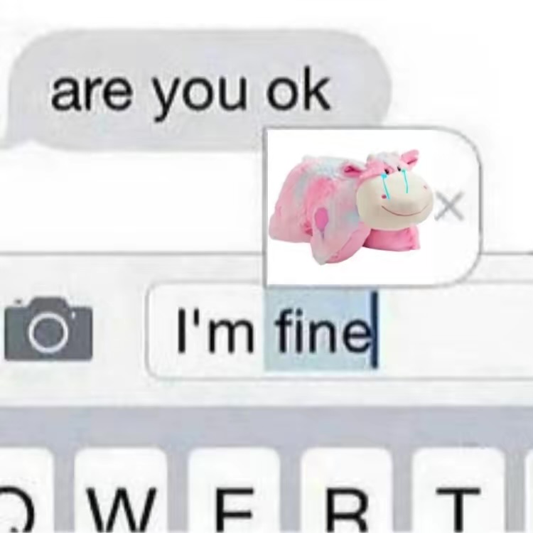 Pillow Pets tweet media