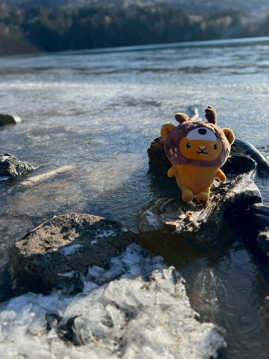 kyunchan_dc's tweet image. キュン💕

みて！湖がつるつるだよ✨
湖が凍っちゃうって、考えたらすごいことだよね💕
自然って凄いキュン💕✨

みんなおやすみ～キュン💤