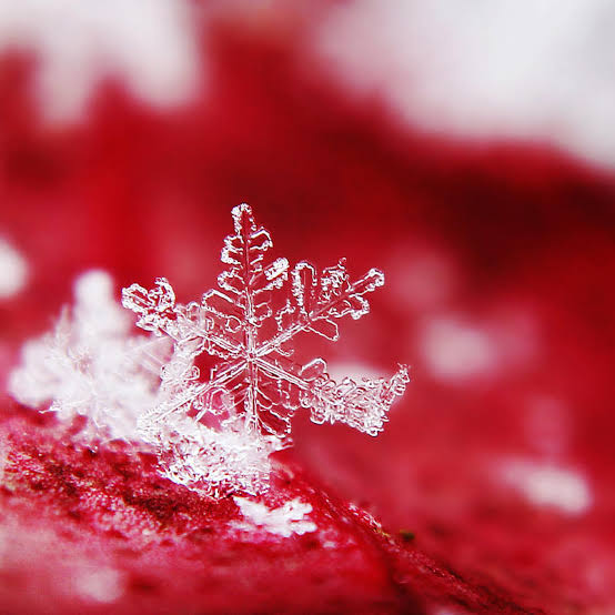 therealSIR3's tweet image. As fragile as
A flake of snow
I have no strength
And drift away
Perhaps I'll die another day
Today I break
This fragile flake
I dream awake
No sleep will come
I come undone
The seams are weak
An #oddball 
With no voice to speak
When will it come 
The peace I seek? 

#vss365