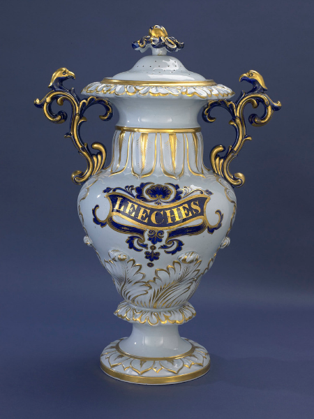 wikivictorian's tweet photo. Leech jar, 19th century. National Museum of American History. https://t.co/uDdIydHACy