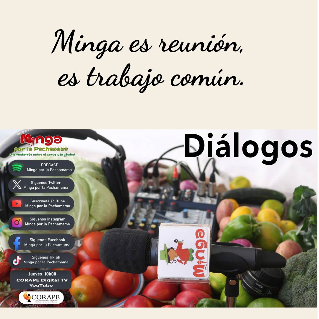 Minga por la Pachama tweet media