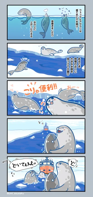 南極観測船が作った川が意外と便利で
野生動物が利用しがち🦭🐧 