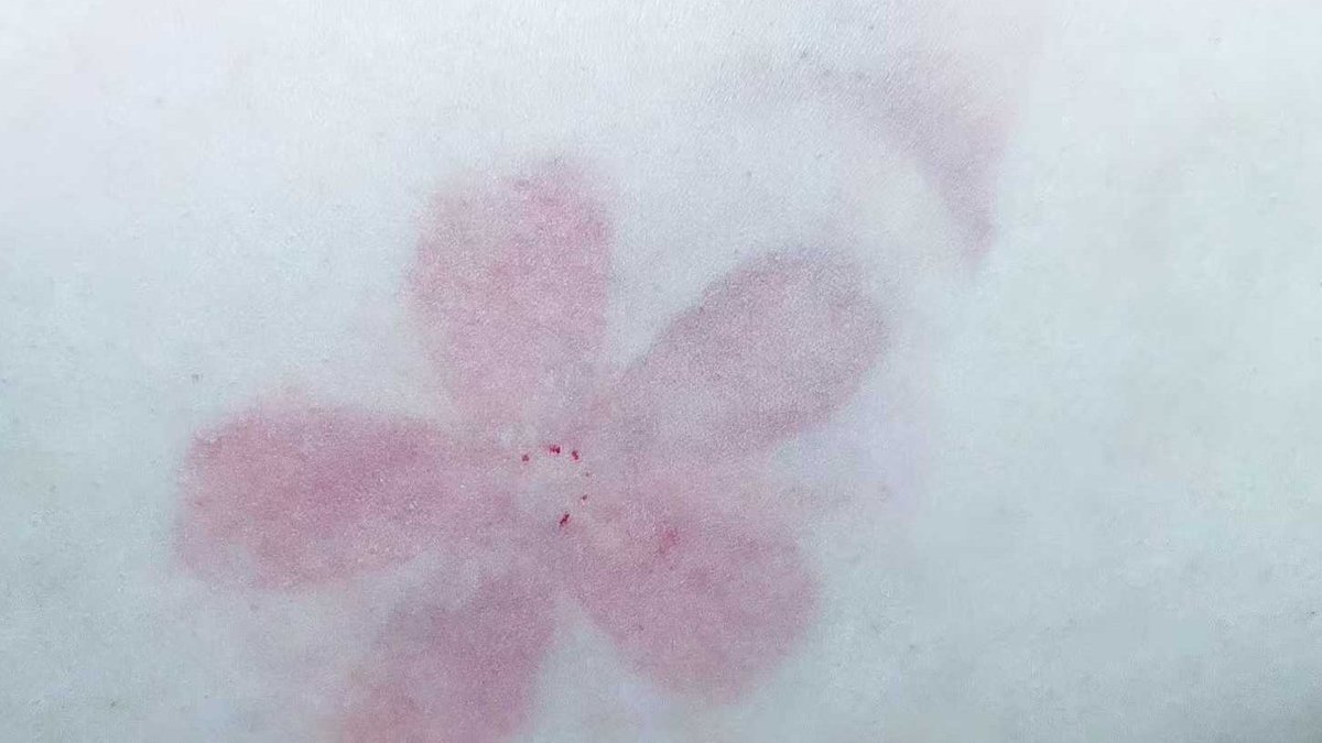 디스토피아 tweet media