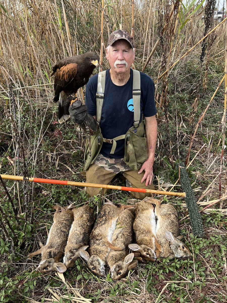 Jennifer Coulson tweet media