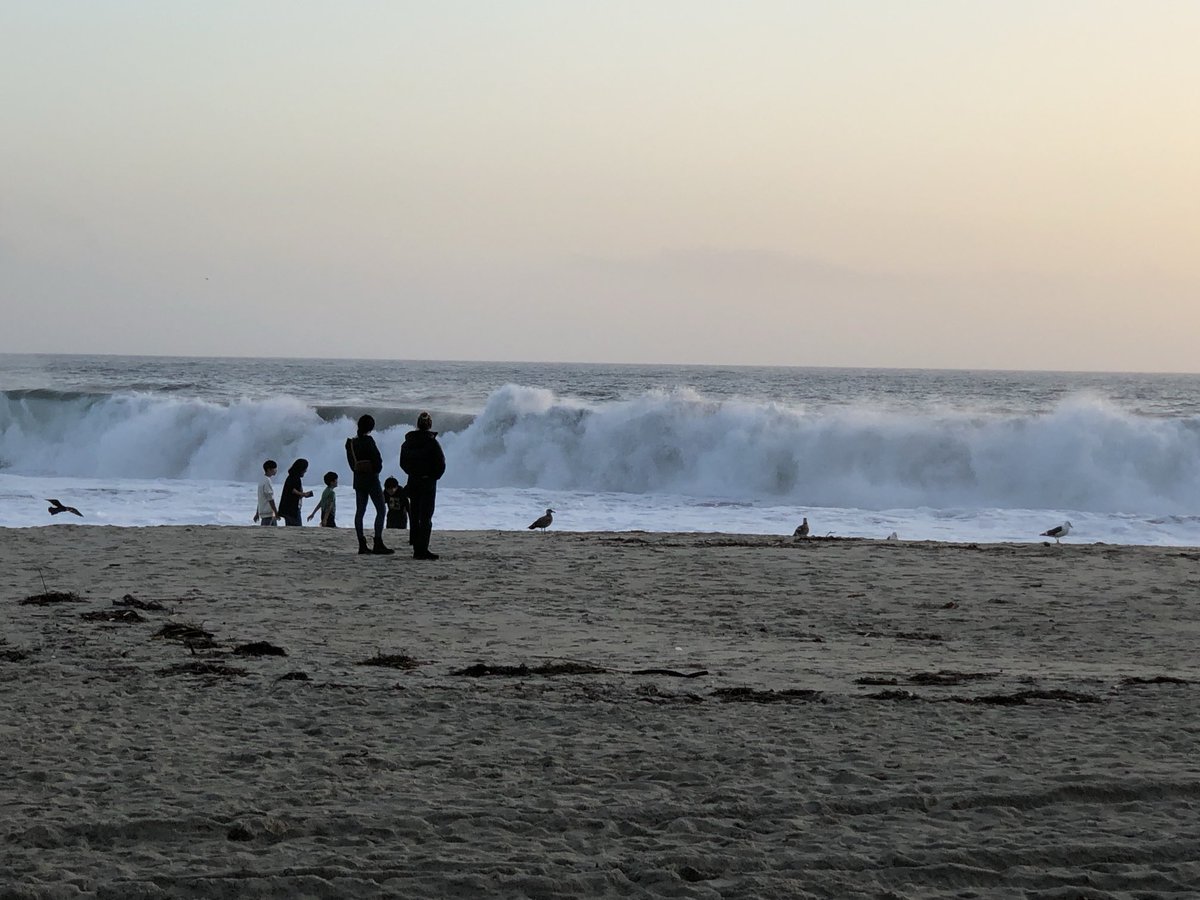 fred reish tweet media