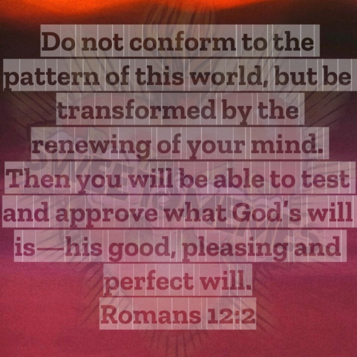 sᥕᥱᥱ𝗍 𝗍һіᥒg❤️‍🔥(𝙰𝚜𝚒𝚊) tweet media