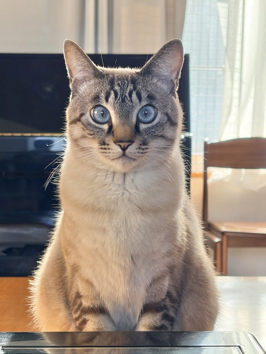 そら🐾 (@_sora0613_) / Posts / X