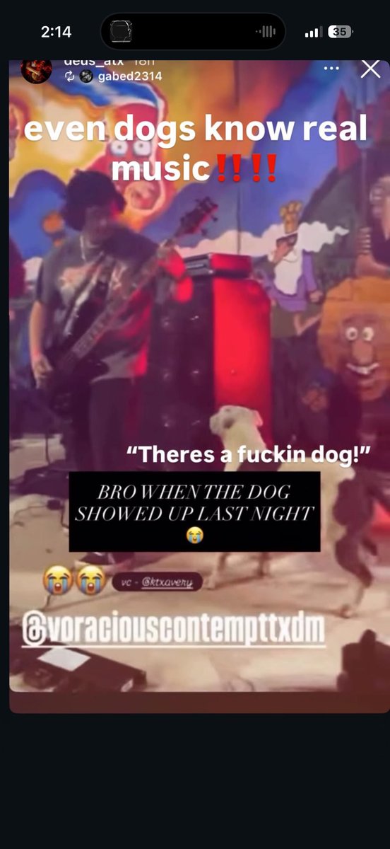 marengo (@nickmarengo) on Twitter photo 