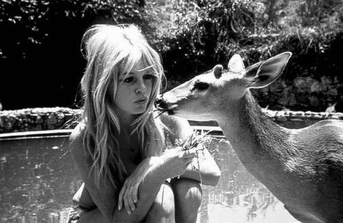 brigitte bardot shady facts tweet media