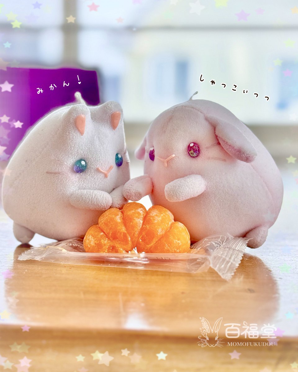 みかんやまもも 和歌山しもつ蔵出しみかん | お知らせ | ヤマホ青果