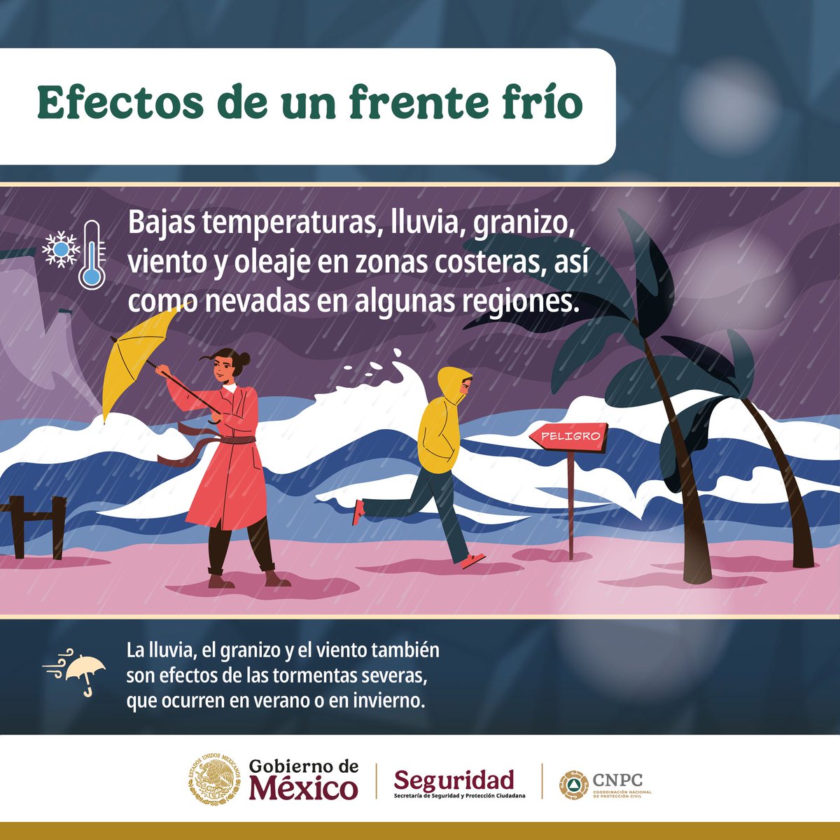 El nuevo #FrenteFrío 27 🥶 ingresará al noroeste de México, en interacción con otros sistemas, generará descenso de temperatura y rachas de viento de 30 a 50 km/h en dicha región, así como lluvias y chubascos en Baja California.
