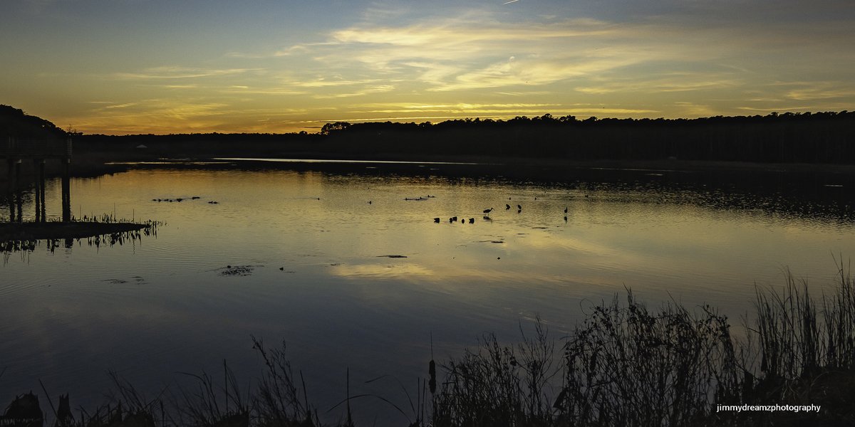 Jimmydreamsmb's tweet image. Nice to just enjoy the sunset and listen to the birds and park settle in for a pleasant night of the Creators blessings. #OutdoorLiving #Goldenhour #sunsetlovers 
@SC_State_Parks @4883Taishi @EdPiotrowski @NWF @RareCat @catsunrisechick @debanjana05 @liamswx @AudubonSC #SelfCare