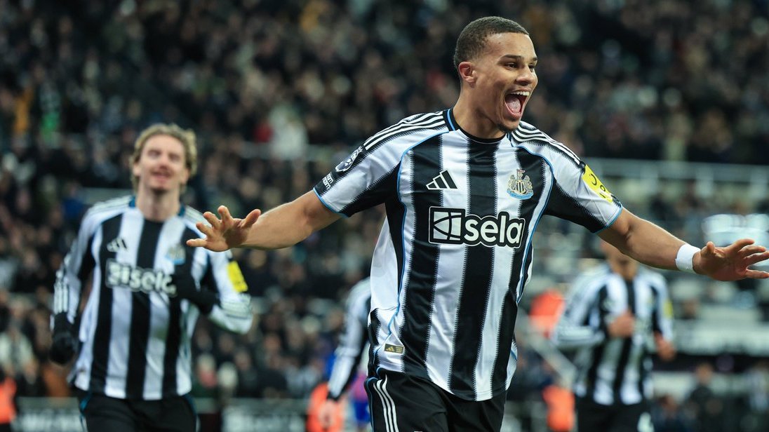 FPL Meerkat tweet media