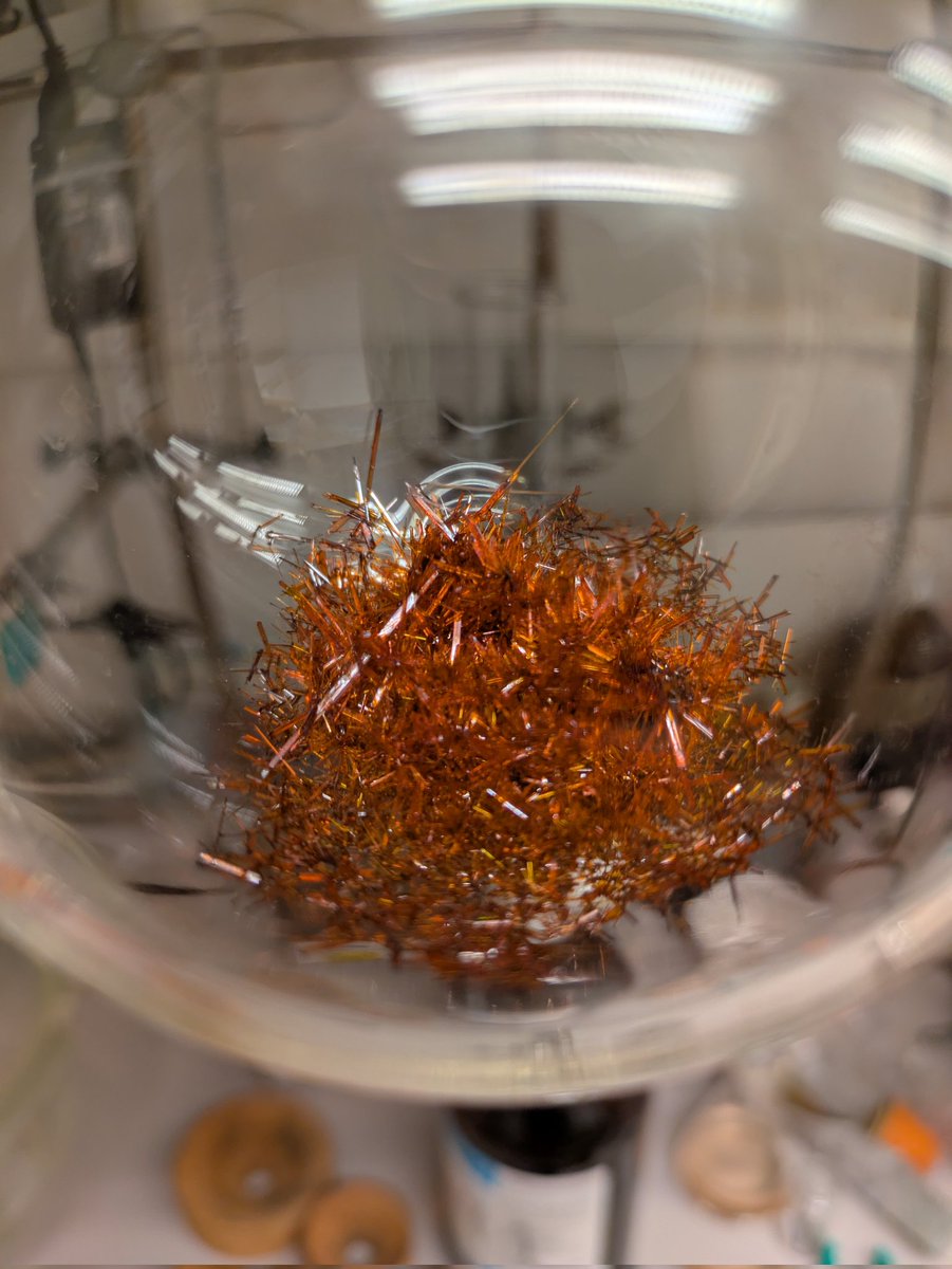 Satoshi Takebayashi tweet media