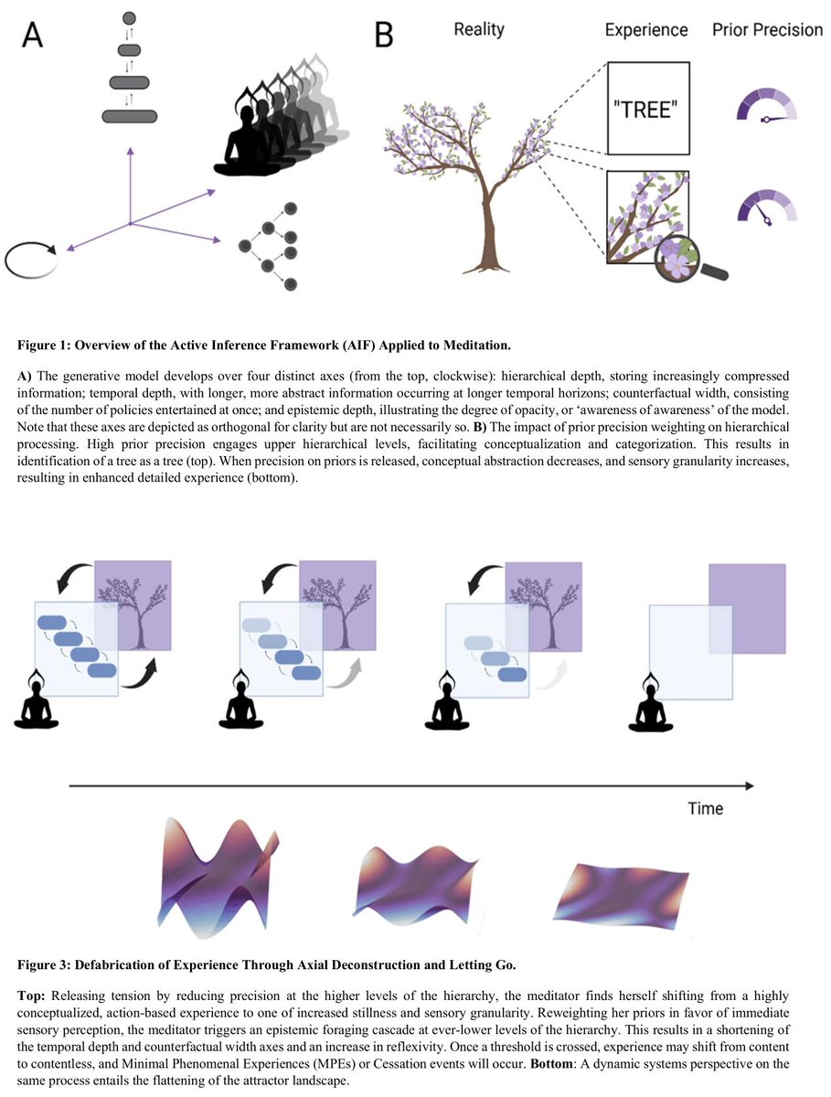 Matthew D. Sacchet tweet media