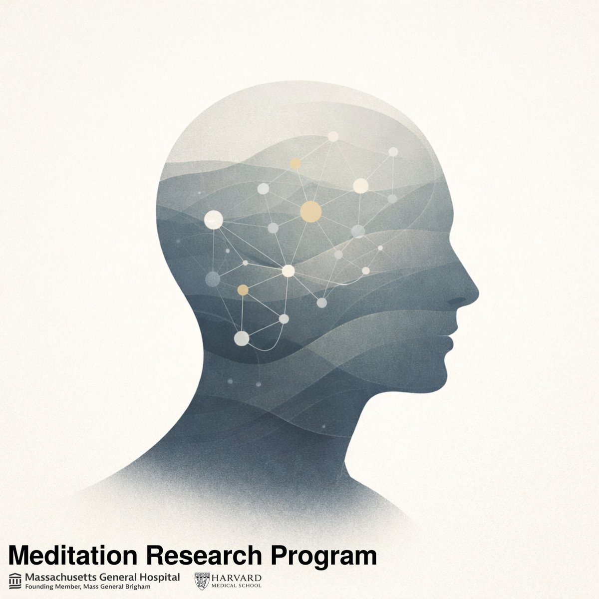 Matthew D. Sacchet tweet media