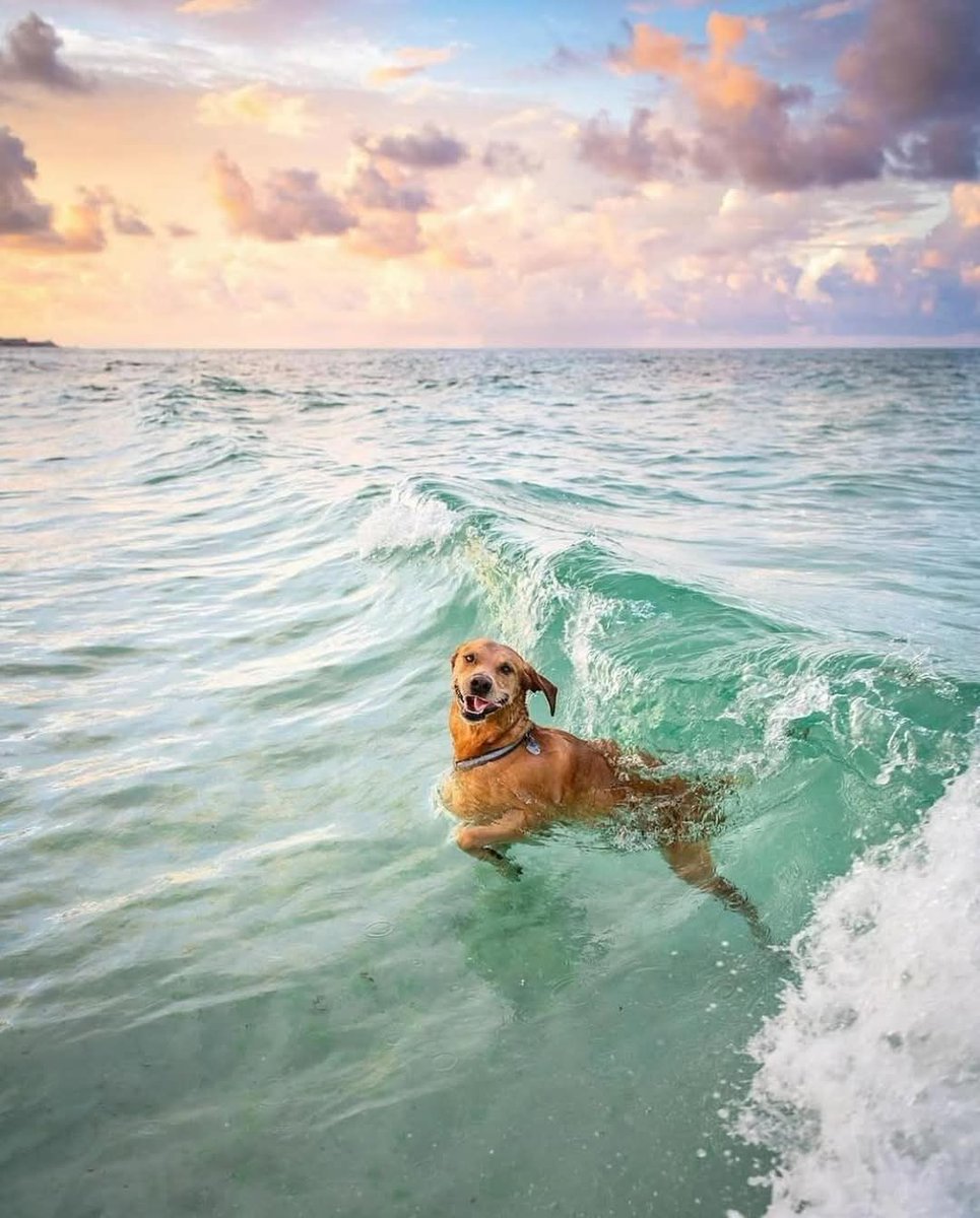 Essa foto é perfeita 🧡