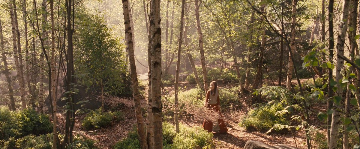 kingofbrethren's tweet image. mentally i’m here