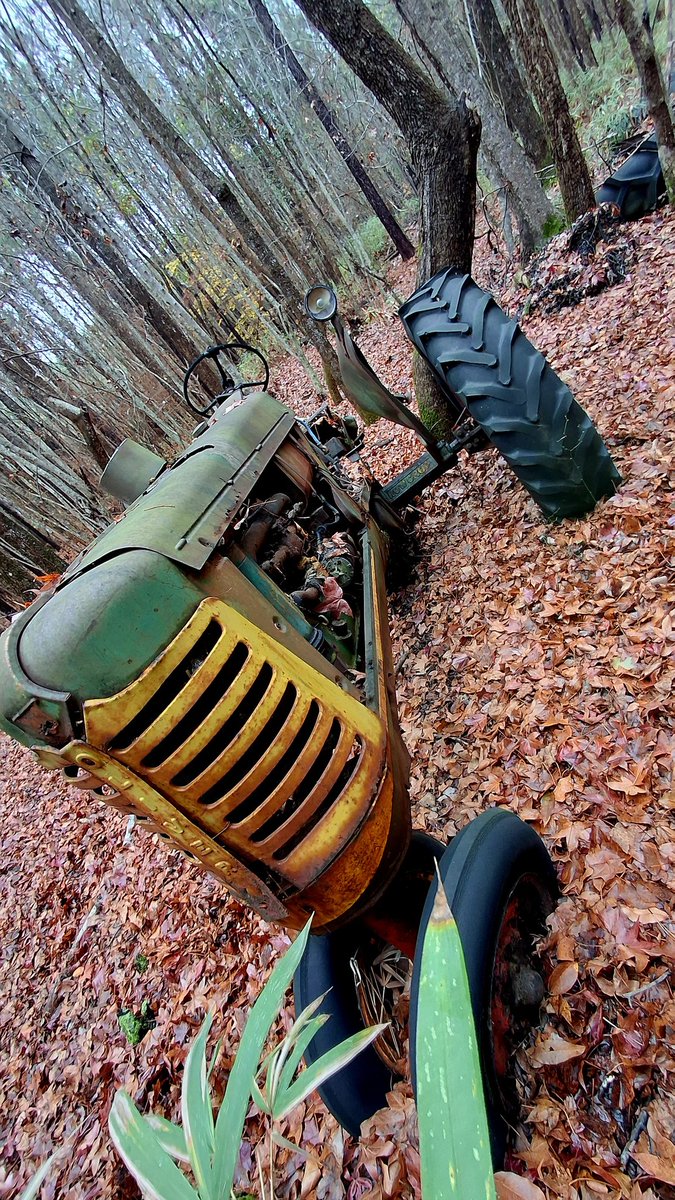 danibecsam tweet media