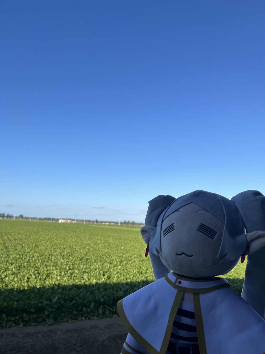 BLUE🐙🍟 ,L.G.M(リトグリ)T.H.M174 (@bluemoonside11) / Posts / X