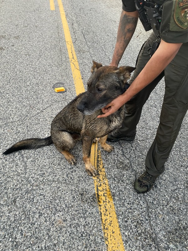 Lt. Garrett DeMilia tweet media