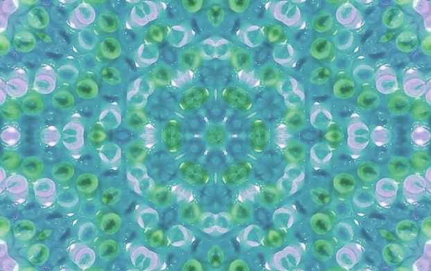 "Follow your bliss and the universe will open doors where there were only walls." -Joseph Campbell #follow #bliss #universe #open