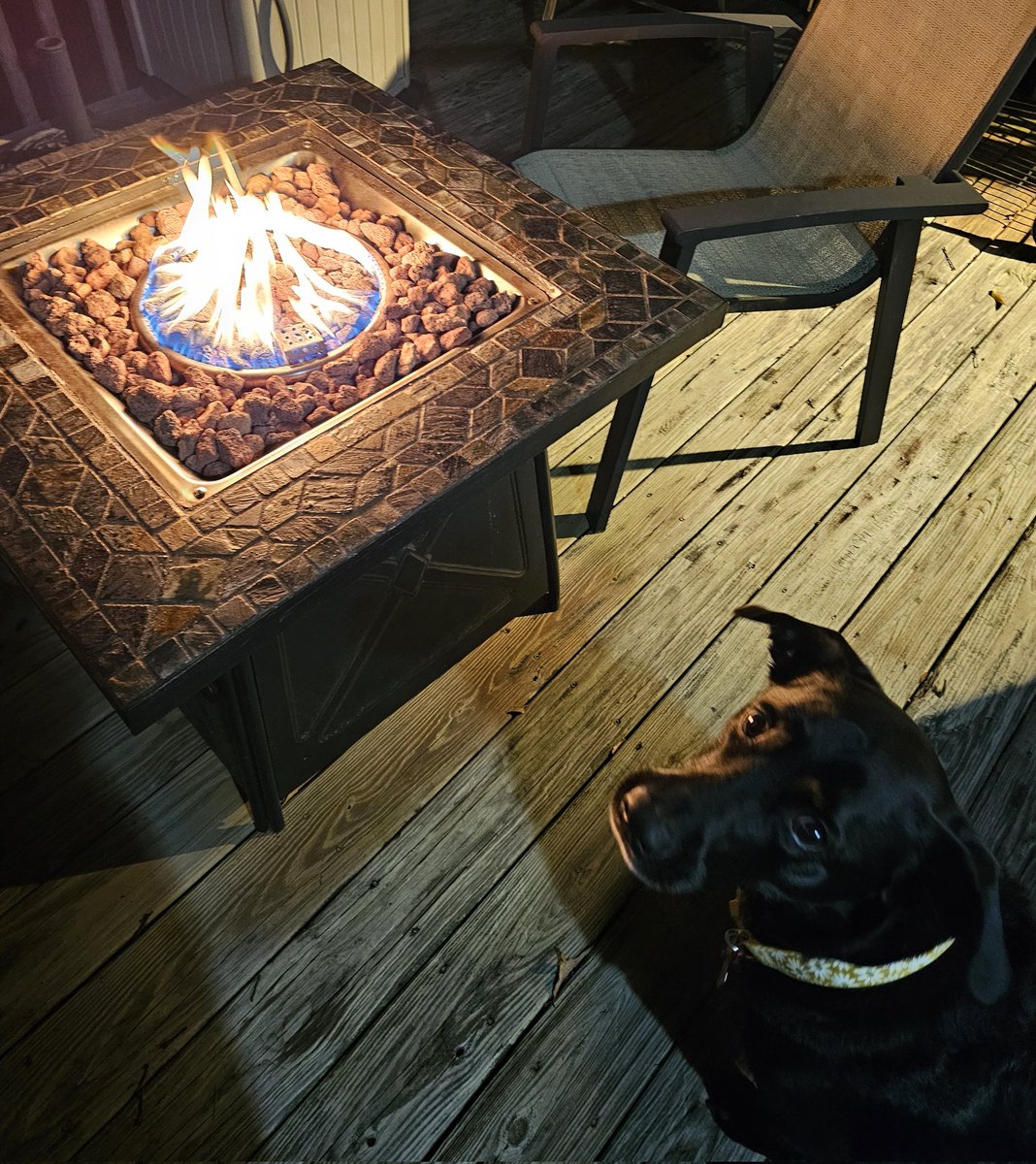 PacBlue's tweet image. 🔥🐶🍔🍻