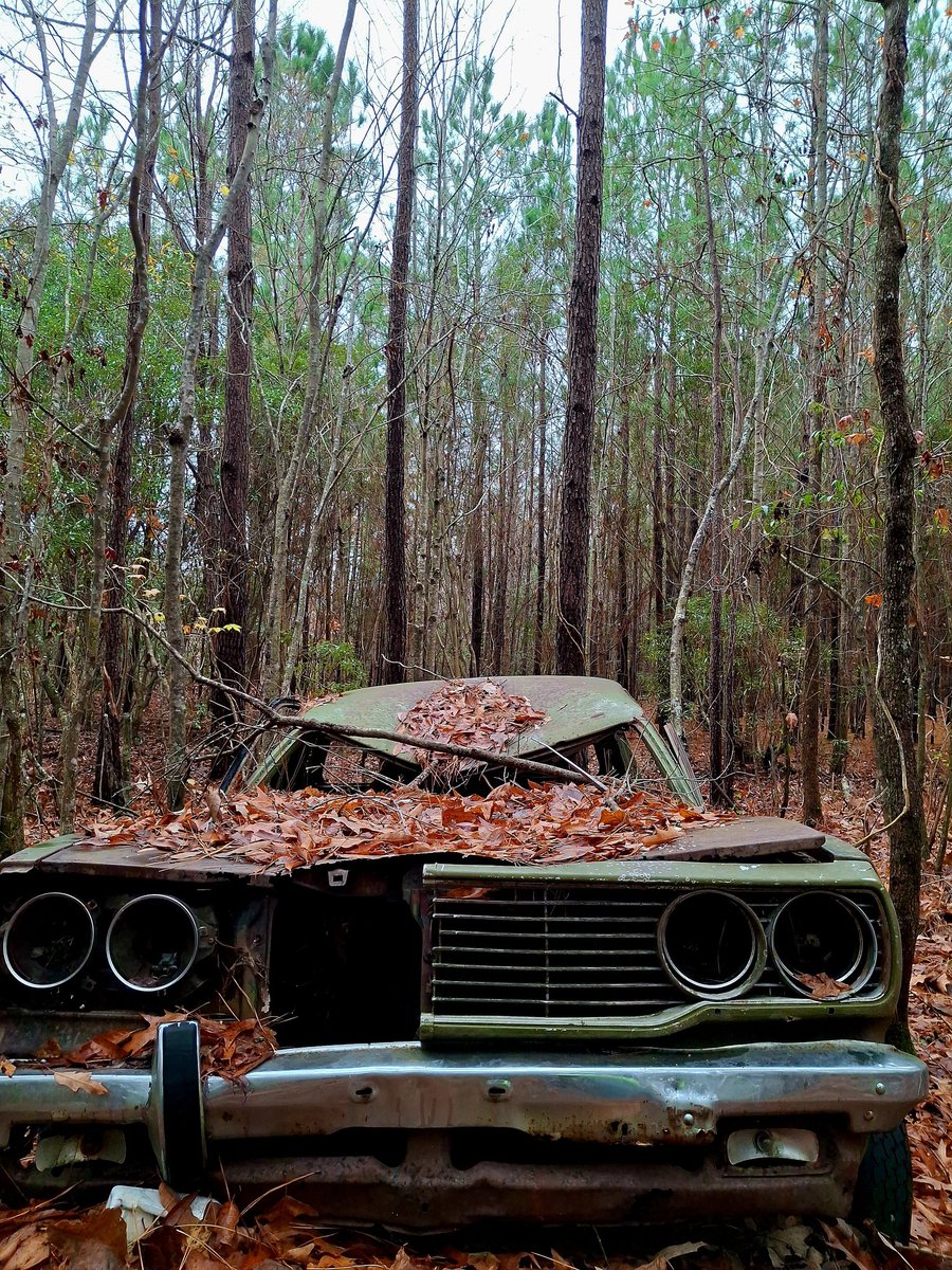 danibecsam tweet media