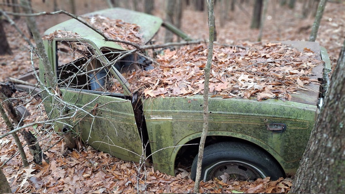 danibecsam tweet media