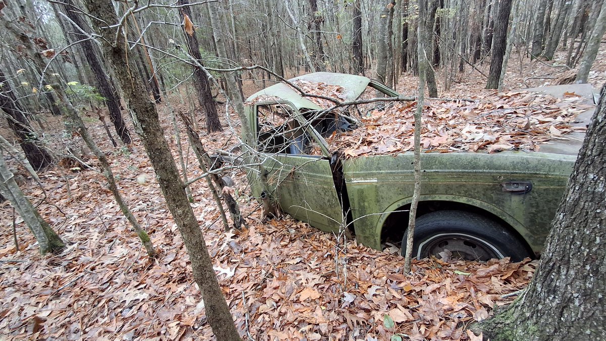 danibecsam tweet media