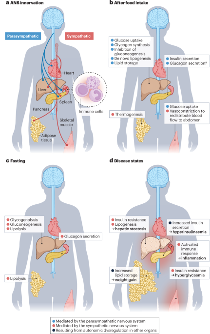 Nature Reviews Endocrinology tweet media