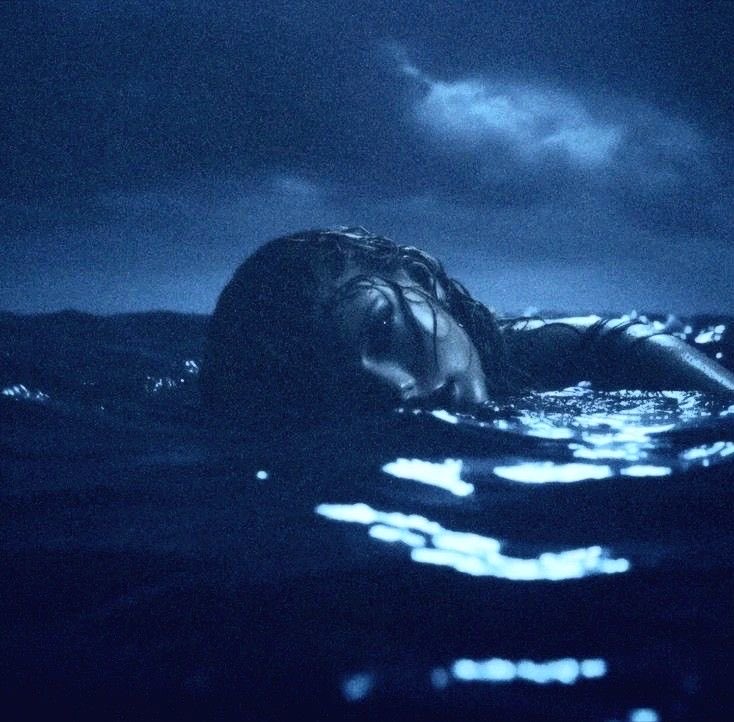 Write2Fite's tweet image. sea of lupine
caught in depression’s net
bluer than blue
perennial moods entwined
will we breakthrough to the sky

or leave me alone
to sort through an #oddball of bones
of a life died
give me dormancy not a stone
drowning in #clueless hues of I’m fine

#BraveWrite #vss365 #haiku