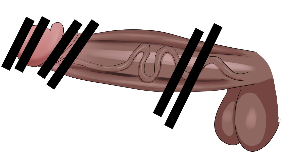 塗り練習47日目 