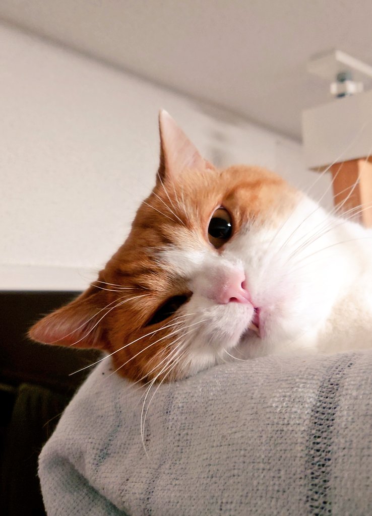 おちゃまる (@ochamarusan0126) / Posts / X