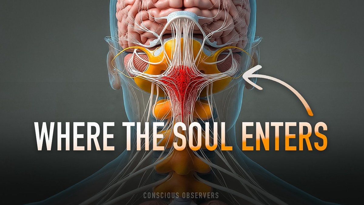 Jordan Crowder tweet media