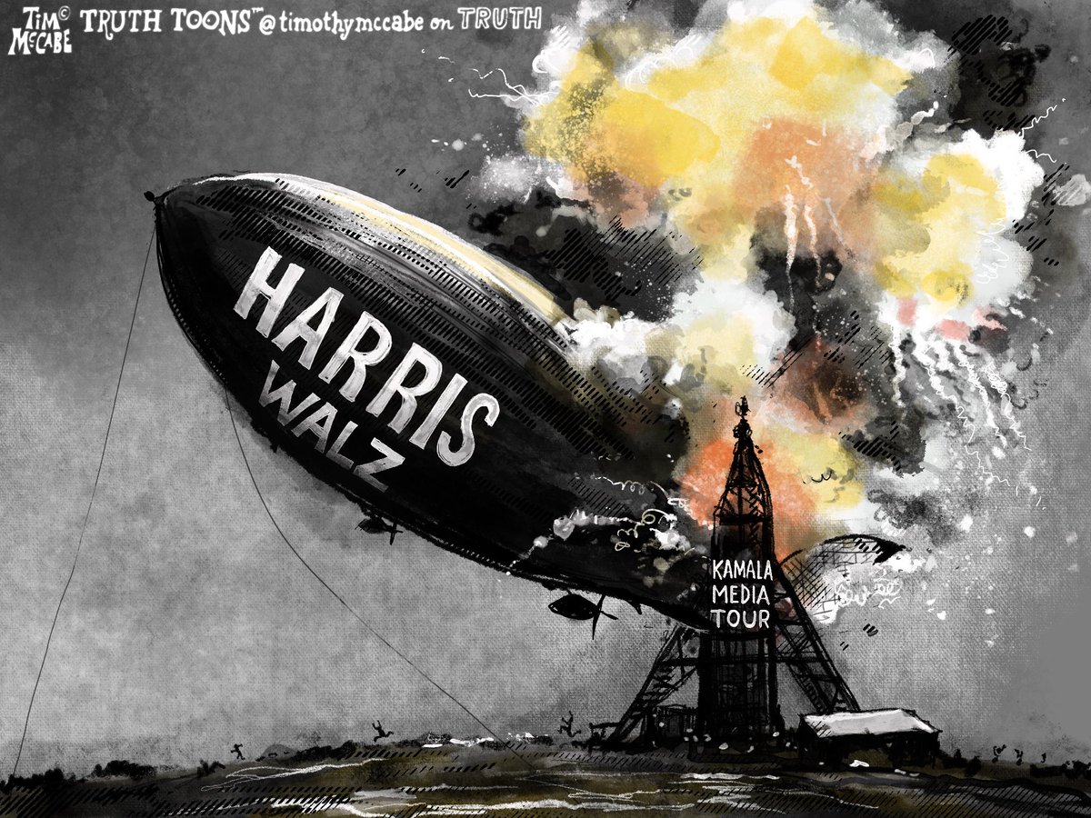 TruthToonsTim's tweet image. I drew this back before the election but it’s clearly still in flames. #harriswalz