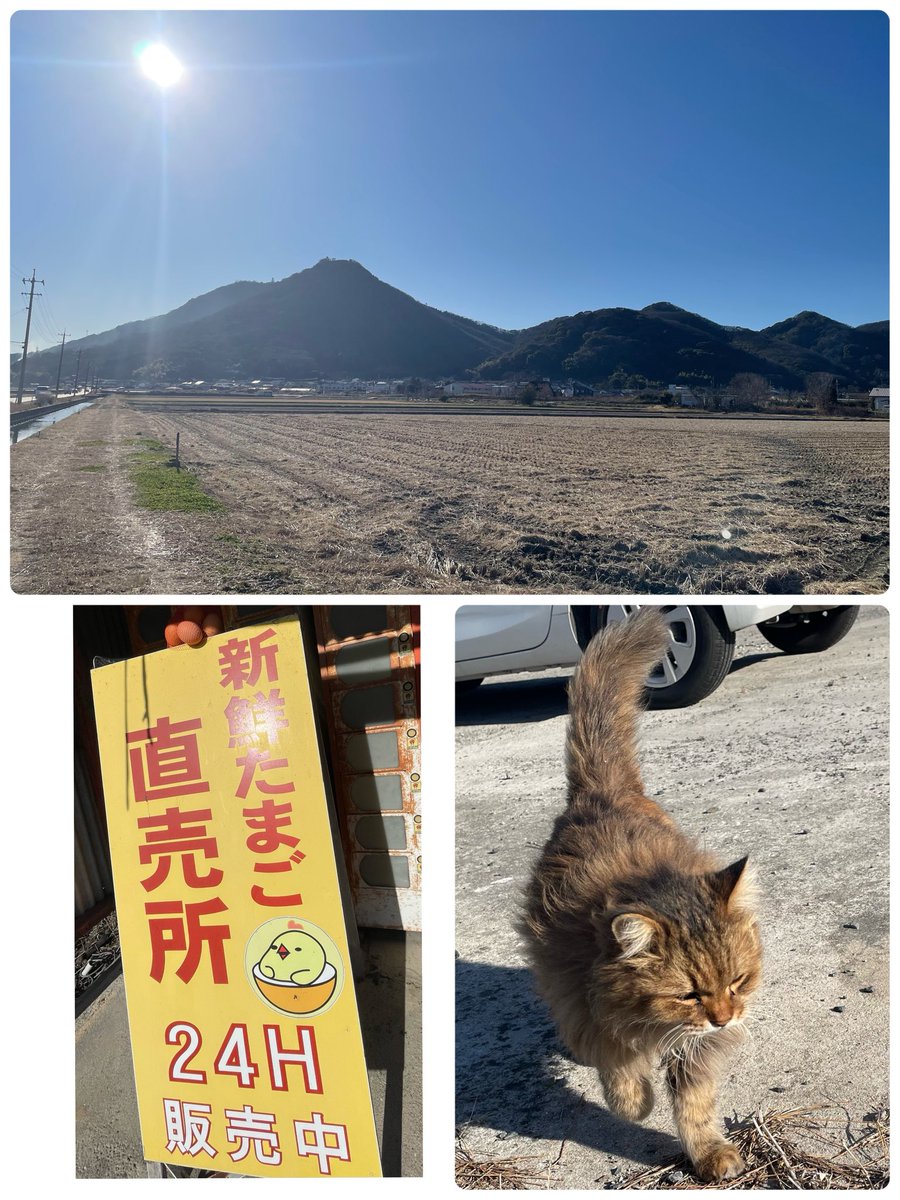 けいちゃん (@gohogohokaze) / Posts / X