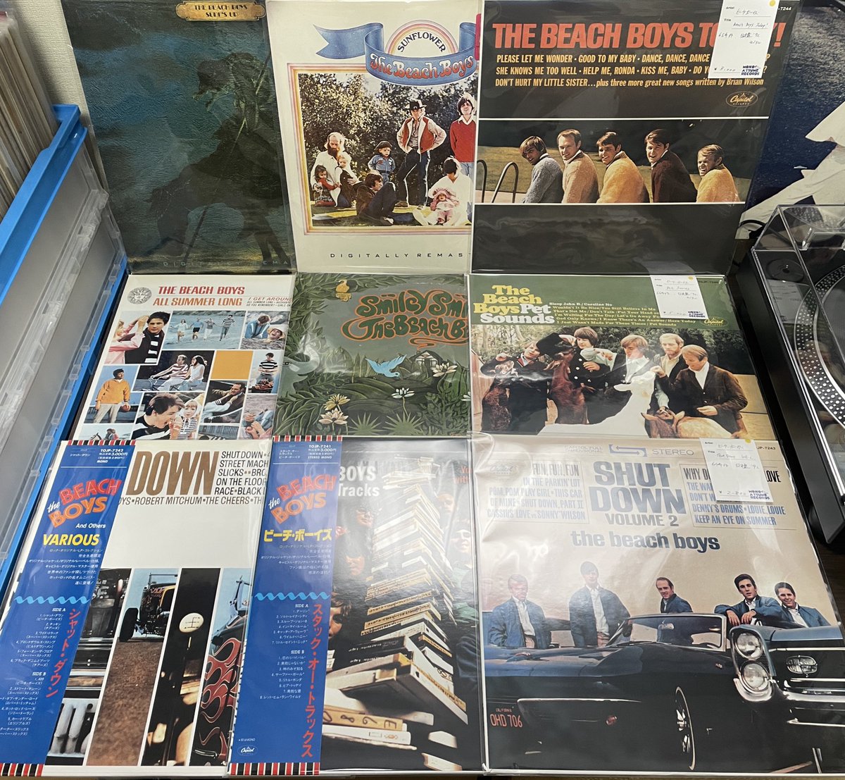 ALBUM ソフトボード ※引き取り限定 ALBUM ソフトボード ※引き取り限定 WHITE ALBUM買取】グッズ・ゲーム