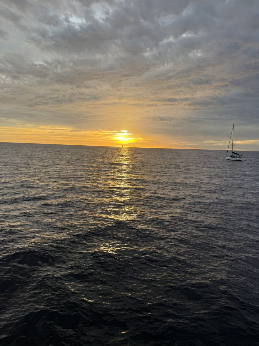 Buckeye Mike in H-Town tweet media