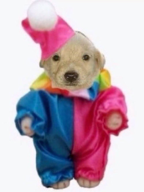 96bound's tweet image. stepped foot in a gym for the first time in actual years today