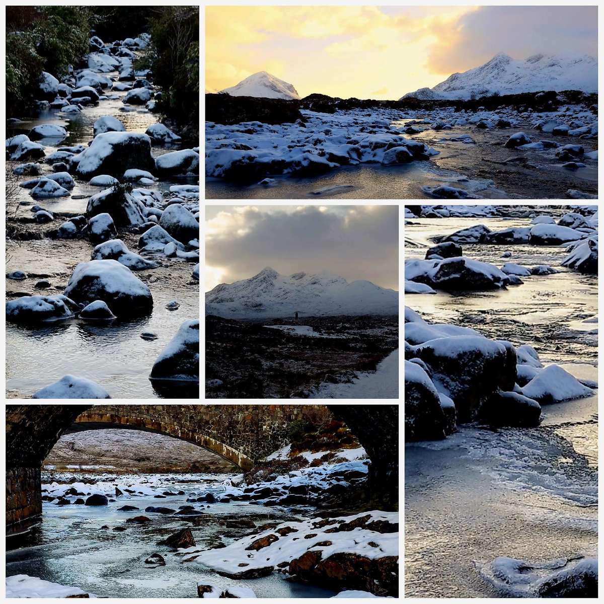 Don Esson tweet media