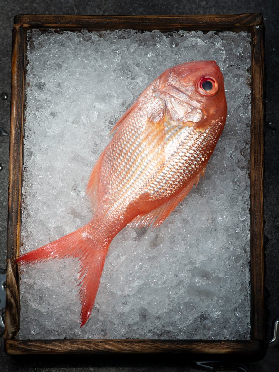 El mar tiene su propio ritmo. Por eso, respetamos los ciclos de las especies con prácticas de pesca responsables.  Celebramos la frescura de los ingredientes y lo que la naturaleza ofrece.

🏺 Nostos Lomas
📲: 55 8438 1350

🧿 Nostos Artz Pedregal
📲: 55 5206 8115