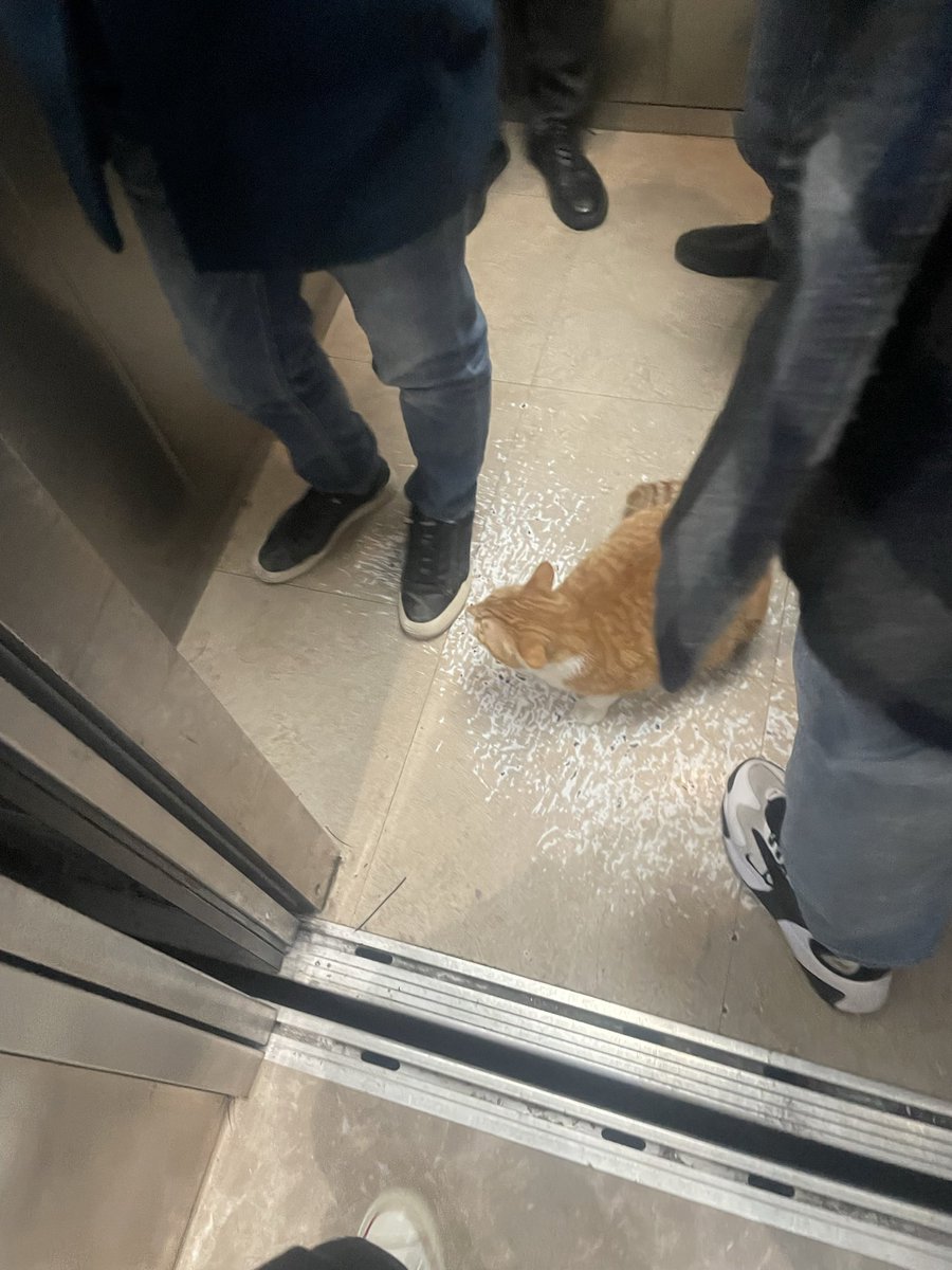 025nkkkk tweet media