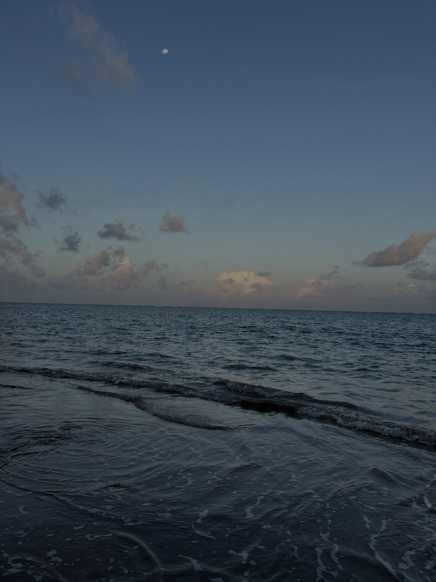 FindomViper's tweet image. 